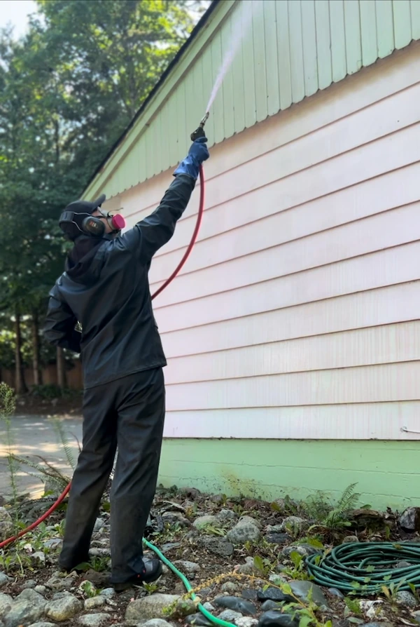 Soft washing a house exterior in spring